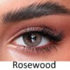 Bella One Day Lenses Rosewood colour