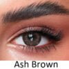 Bella One Day Lenses Ash Brown colour