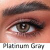 Bella One Day Lenses Platinum Gray