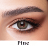 Bella One Day Lenses Pine color