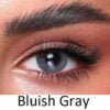 Bella One Day Lenses Bluish Gray